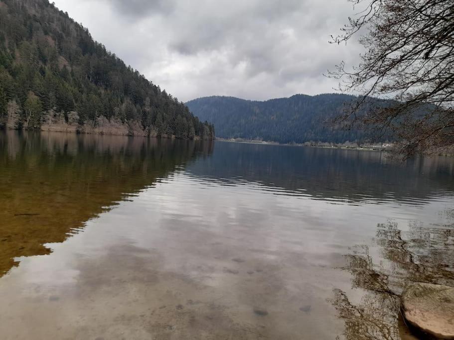 Vacances Xonrupt-Gerardmer מראה חיצוני תמונה